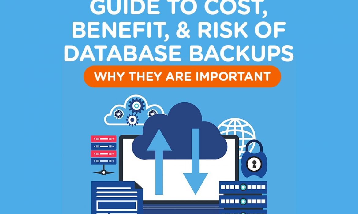 GUIDE TO COST, BENEFIT, AND RISK OF DATABASE BACKUPS – WHY THEY ARE IMPORTANT