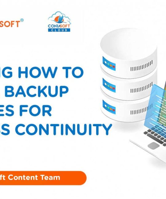 SQL Backup Features for Business Continuity Success