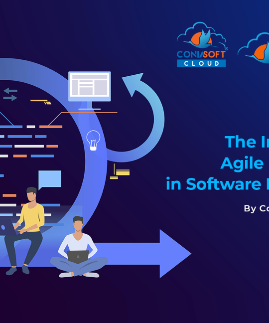 The Importance of Agile Methodology in Software Development